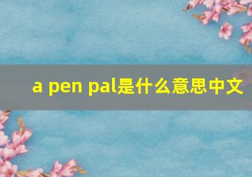 a pen pal是什么意思中文